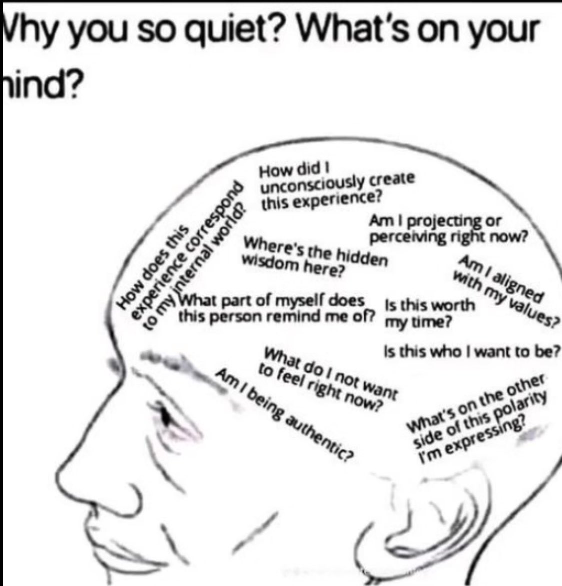 philosophy memes 🔗 tweet media