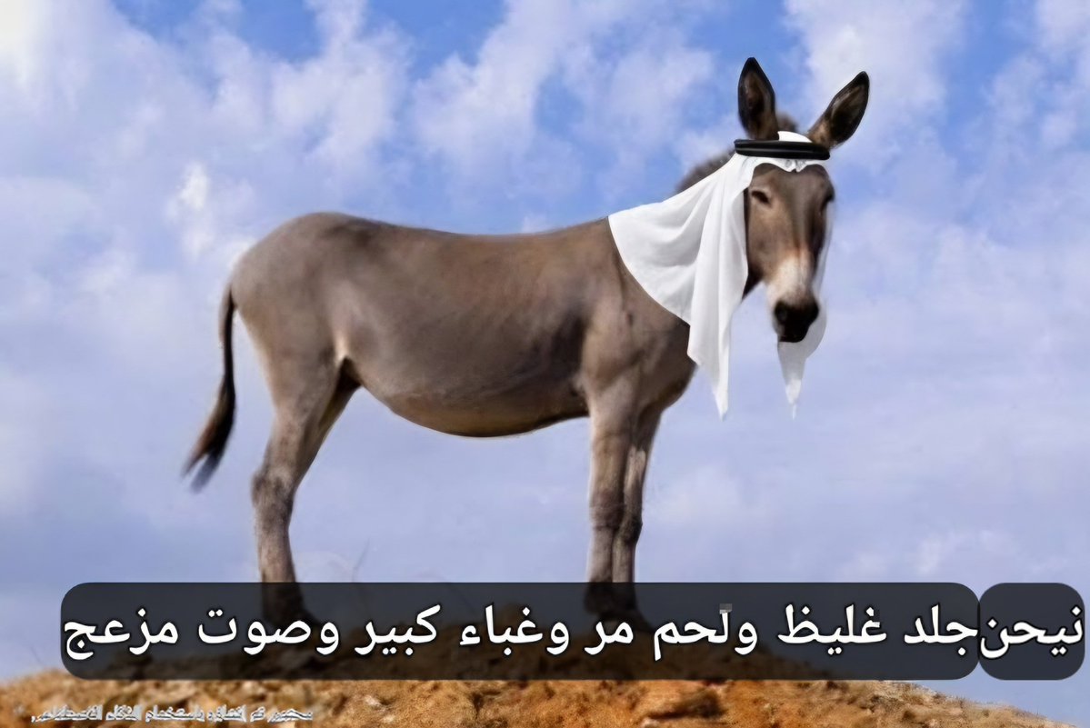 متأمل tweet media