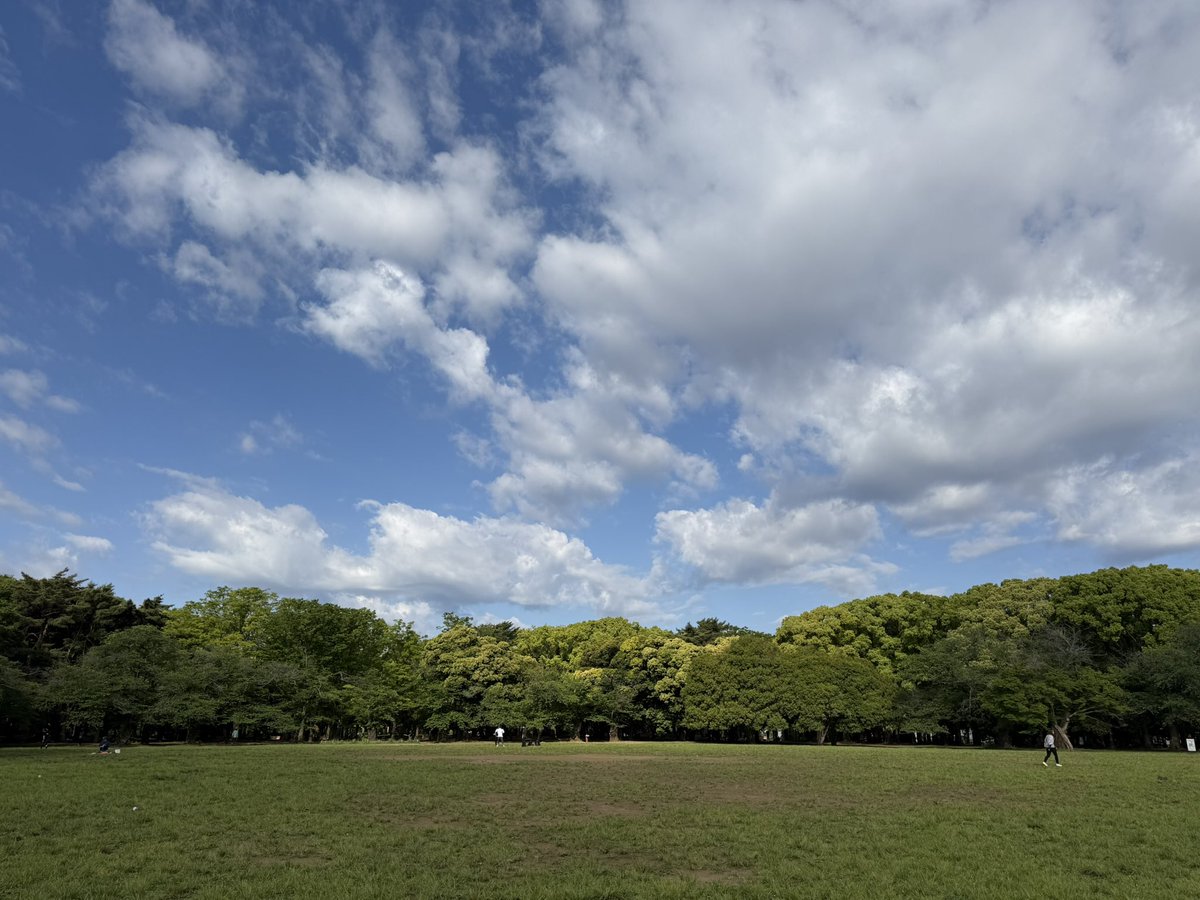 おはようございます