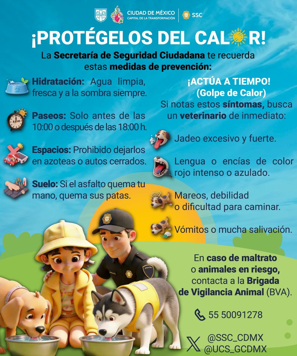 SSC_CDMX's tweet photo. Durante la #TemporadaDeCalor  cuida a tus mascotas de las altas temperaturas ya que puede afectarlos y poner en riesgo su salud. ☀️🌡️
Estas son algunas recomendaciones para prevenir #GolpesDeCalor y mantenerlos frescos, seguros y protegidos.  🐾🐶🐱  👇🏻

#DisfrutaDelCalorConSeguridad
#CuidadoResponsable