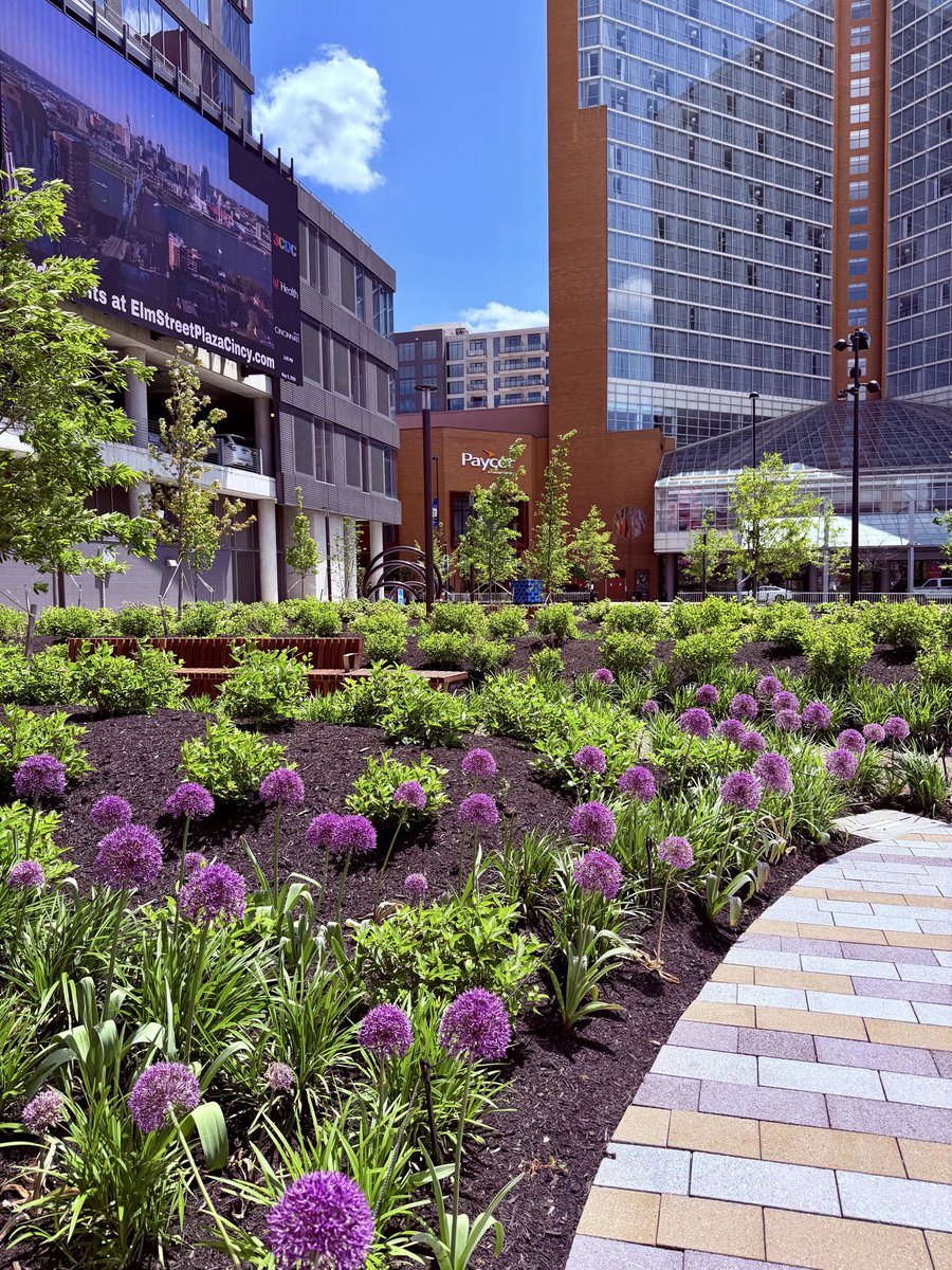 logan501's tweet photo. I love having a brand new park in the city 🍃🖌️ https://t.co/SWkliikSxs