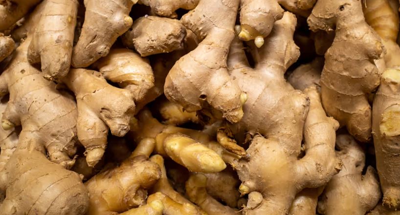 Chidalusabastin's tweet photo. Fun fact 
Ginger (zingiber officinale) is a flowering plant whose rhizome,or underground stem, is widely used as a spice and traditional medicine 
Health benefits 
• Boots digestion and reduces bloating after heavy meal.
• Strengthens immunity and help's common infections #fact https://t.co/Q08h3tMGMD