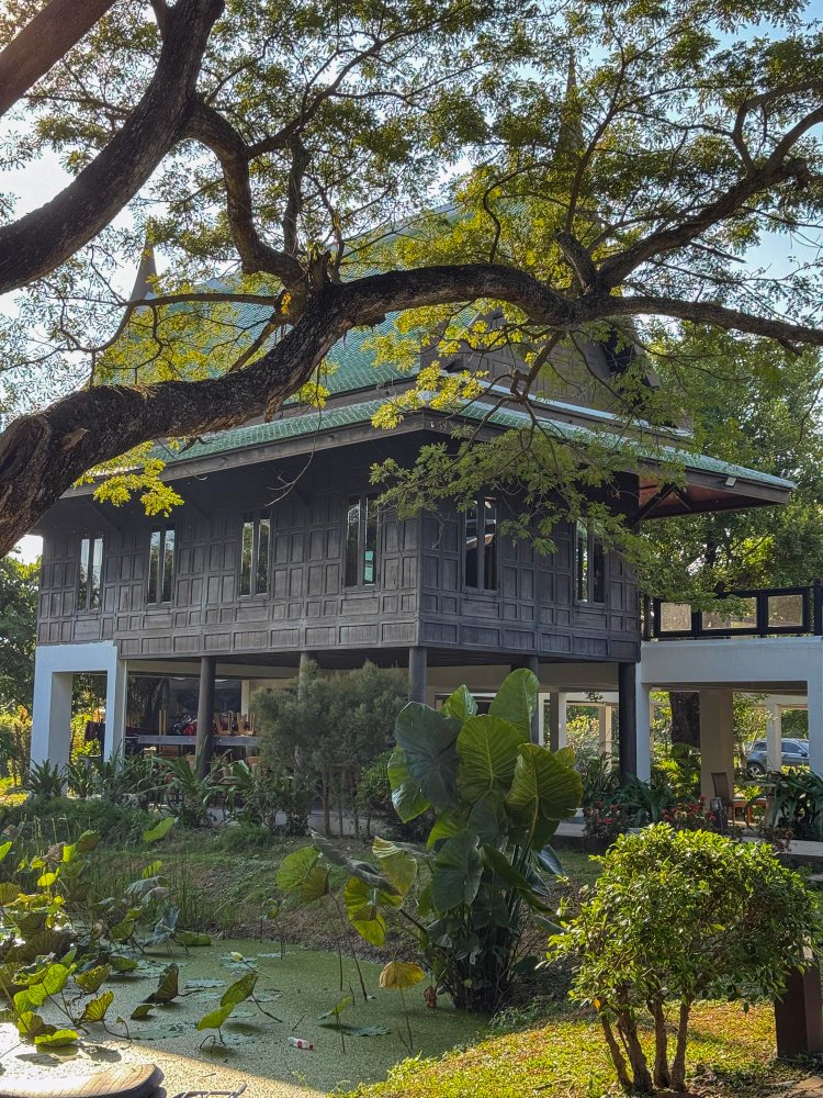 SouthernStarGA's tweet photo. Can Overgrown Trees Damage Your Home or Roof?

Trees play a crucial role in making landscapes beautiful. However, they can grow and reach damaging heights over your roof and home if left unattended. If you have tall trees in your backyard, it’s wise ...

https://t.co/FBxSykq6ID https://t.co/Uxq5e2fr8S
