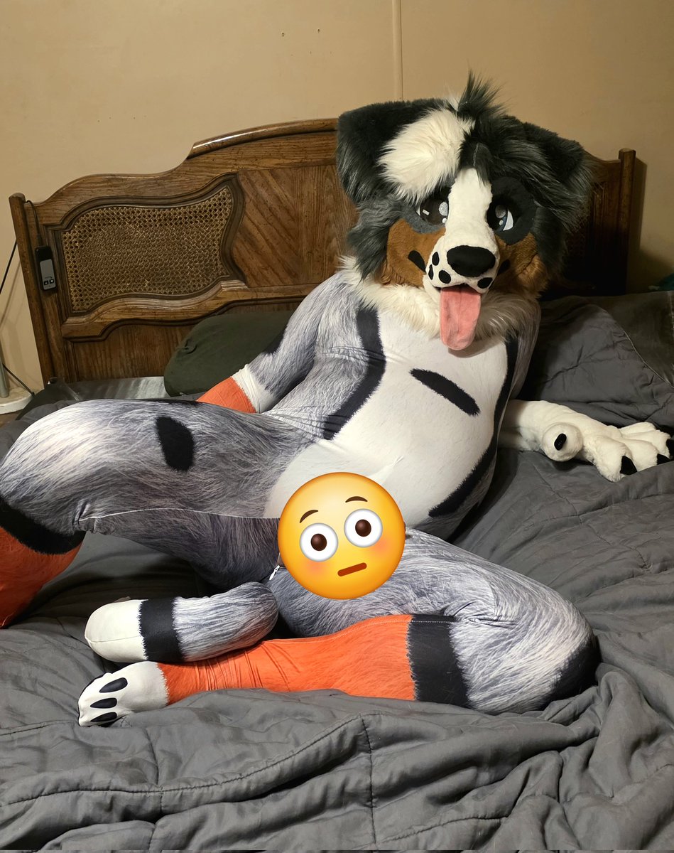 KnottyCollie's tweet photo. Chubby puppy boys in your area?
More likely than you think 🤔 

#petsuit #furrynsfw #murrsuit #furry https://t.co/jjzhXC2Lyu
