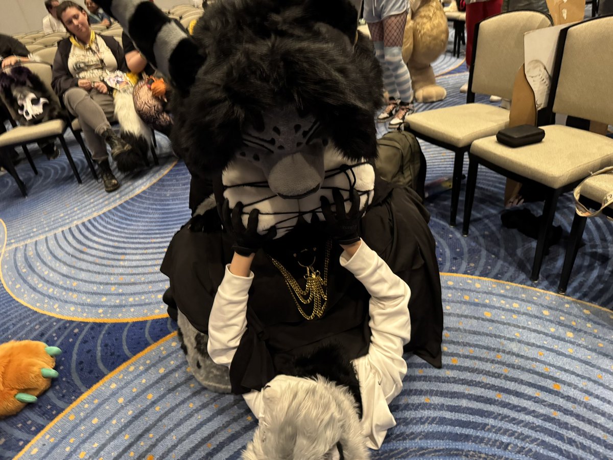 rem/ Megaplex26 tweet media