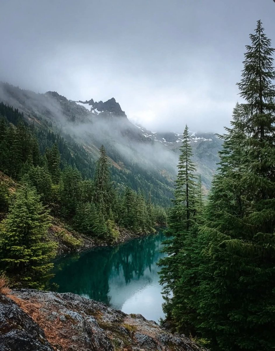 Beauty of Nature tweet media