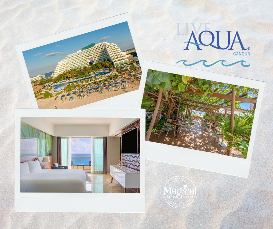 MagicalBrandi's tweet photo. 🚨 Need a beach ASAP? 🌴✨
Save up to $700 on select Fiesta Americana Travelty Collection vacation packages in Mexico &amp; Punta Cana! ☀️
Featured Resort: Live Aqua Cancun 💦
📅 Book by May 28
✈️ Travel through March 31, 2027
#TravelwithBrandi #ALGVacations #LiveAquaCancun https://t.co/EoDxFrqBq9
