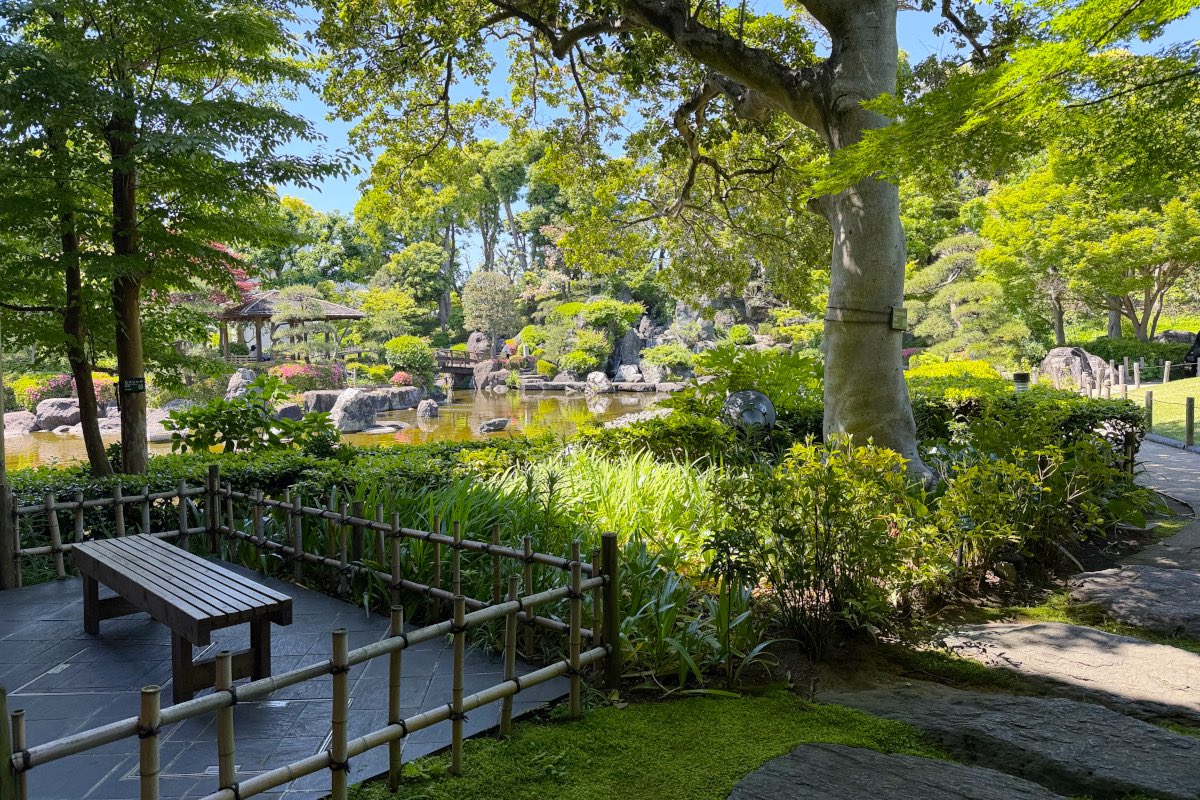 holidaynote's tweet photo. 好きな庭園。足立区にある「花畑記念庭園」。風が心地良くて、BGMは滝の音。抹茶をいただきながら、なんだか京都にやってきたような気分にもなって、最高のチルタイムでした。 https://t.co/77CWkm4wFl