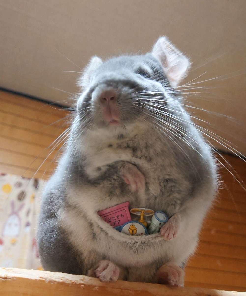 ようこ tweet media