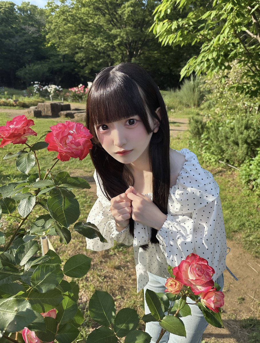 【かすみ草とステラ】一期生 人気のワインレッド衣装セット　比賀、小柴、吉川 かすみ草とステラ🏫 (@Kastella_OFC) / Posts / X