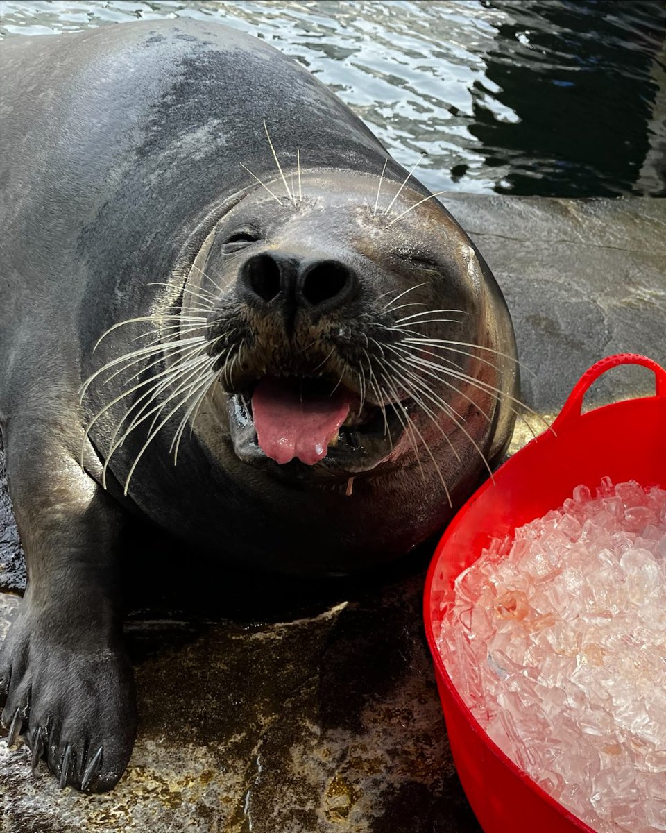 Seattle Aquarium tweet media