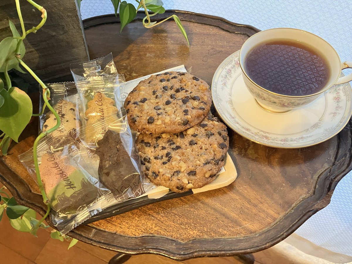 arishima fumi tweet media