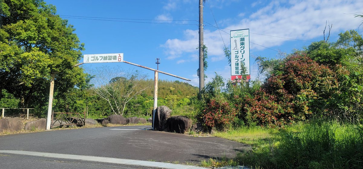 プリン伯爵 tweet media
