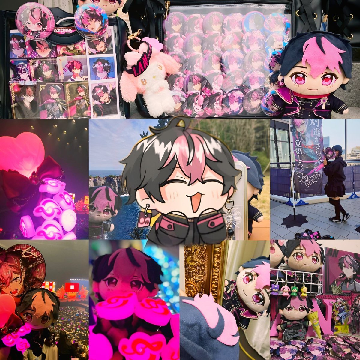 るな🎼🌸 tweet media