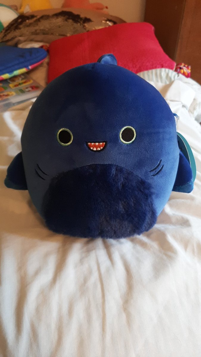 Pham99K's tweet photo. I found a retail exclusive Squishmallow at Five Below! #Squishmallows https://t.co/8B6NC63Czn