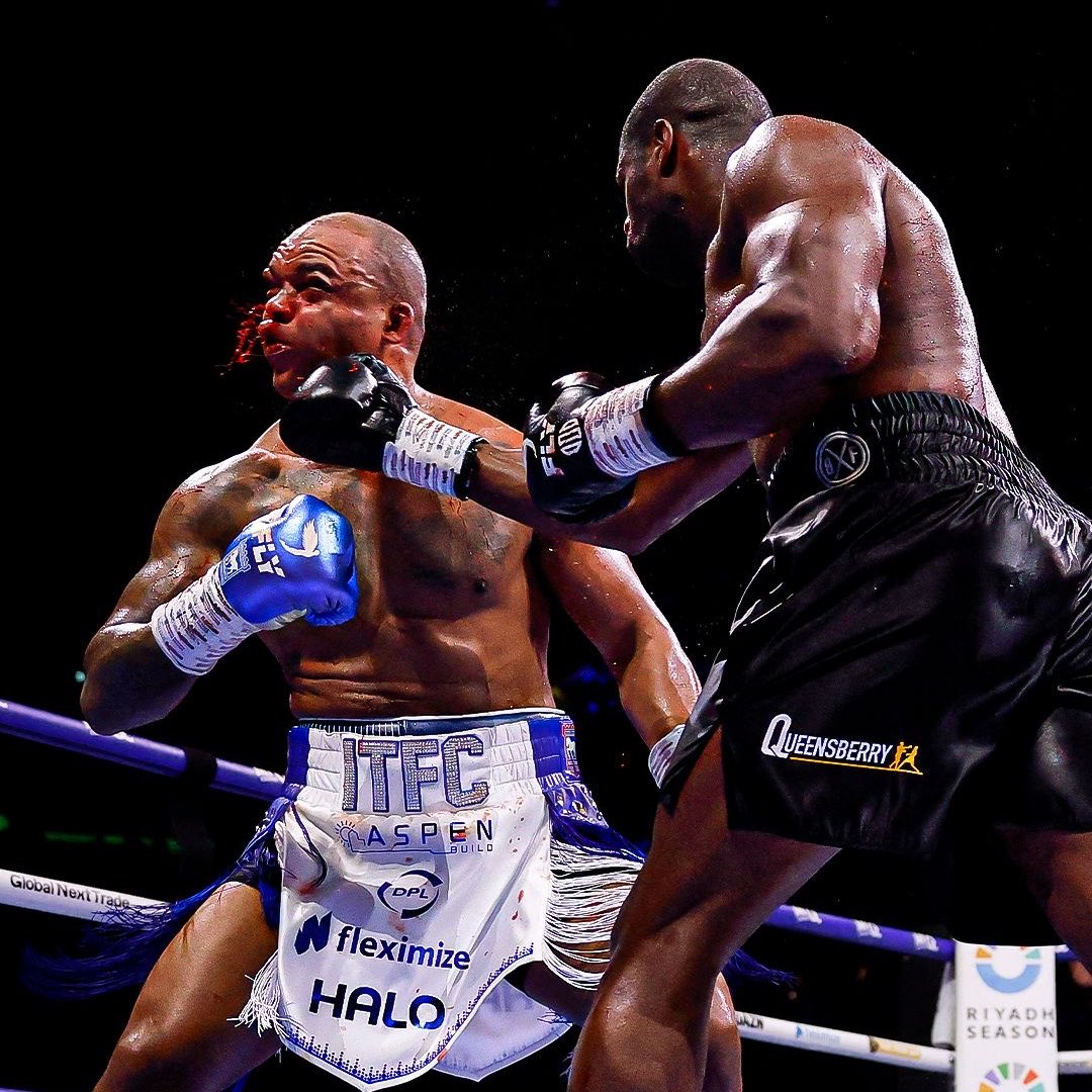 Boxing Fightzone tweet media