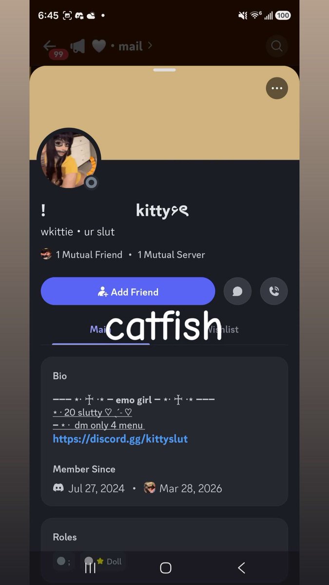 kitty tweet media