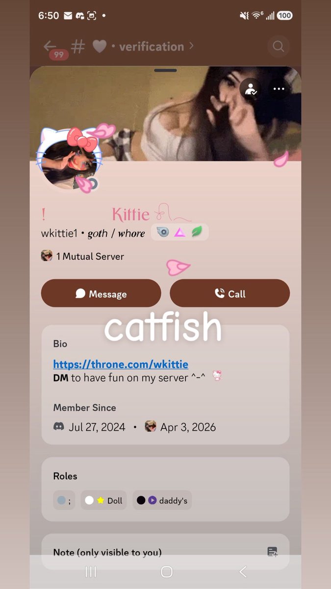 kitty tweet media