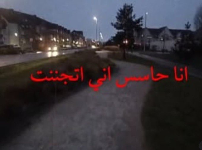 hamzeh tweet media