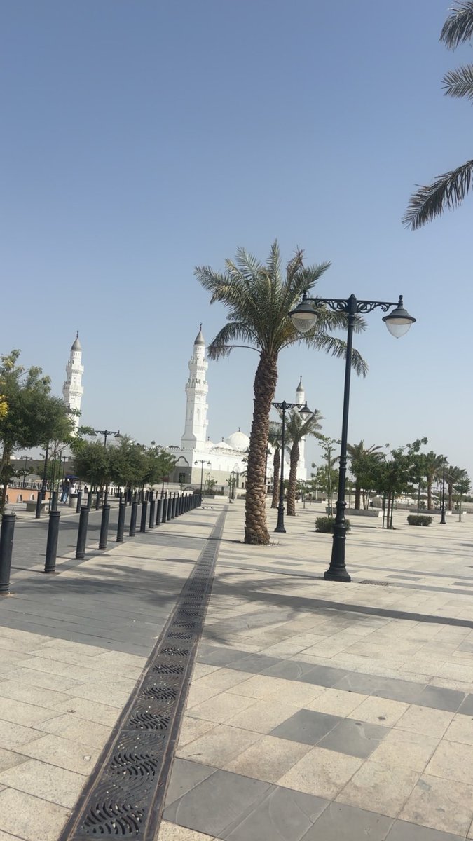 يوووووو tweet media