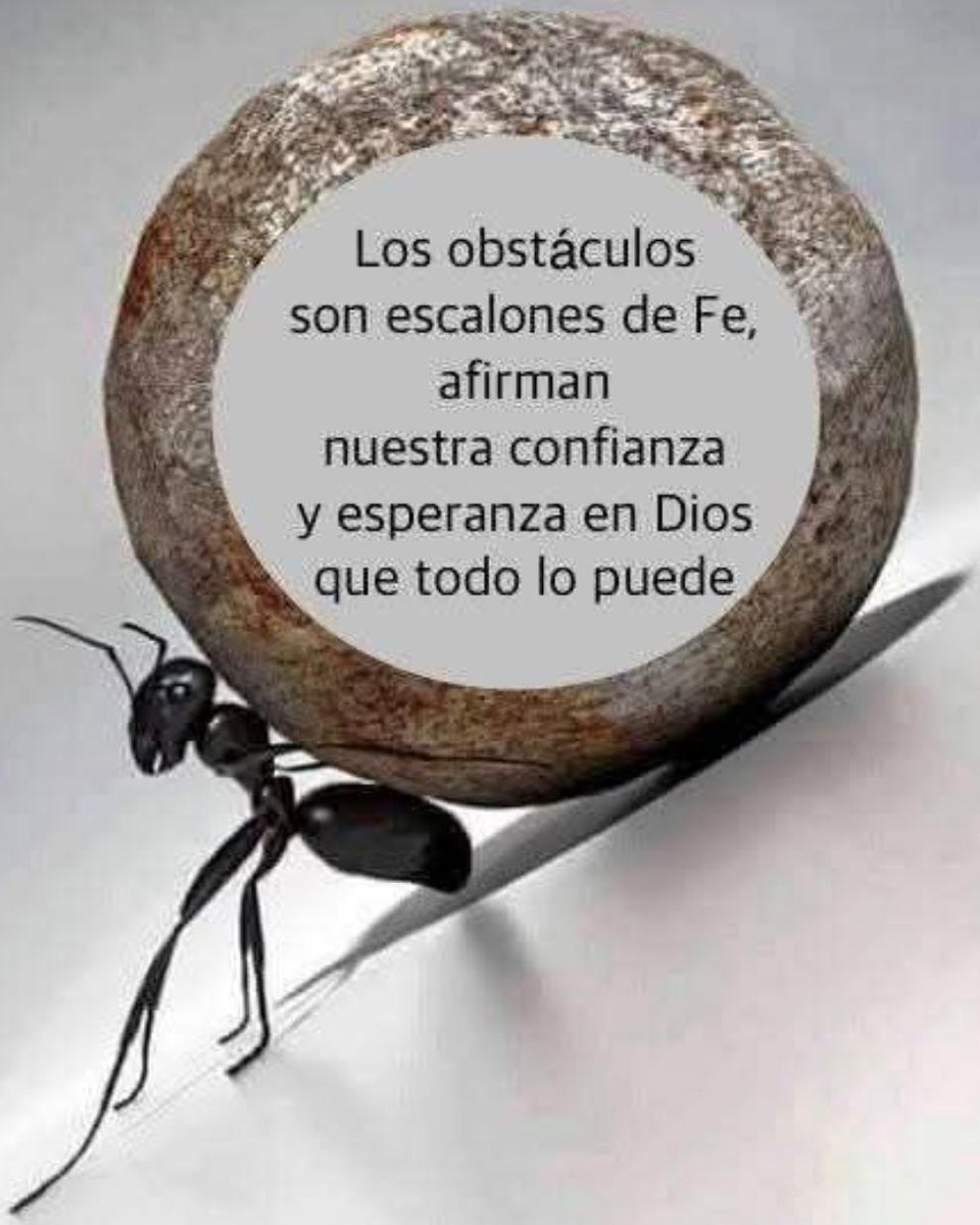 uldaricoct's tweet photo. Vitaminas para el Alma https://t.co/LsoqN51qjN