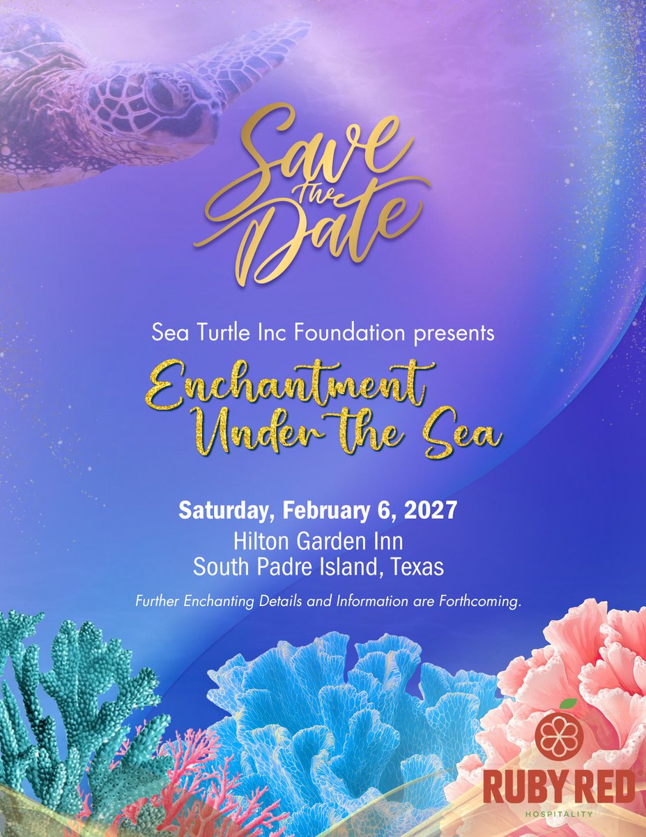 Sea Turtle, Inc. tweet media