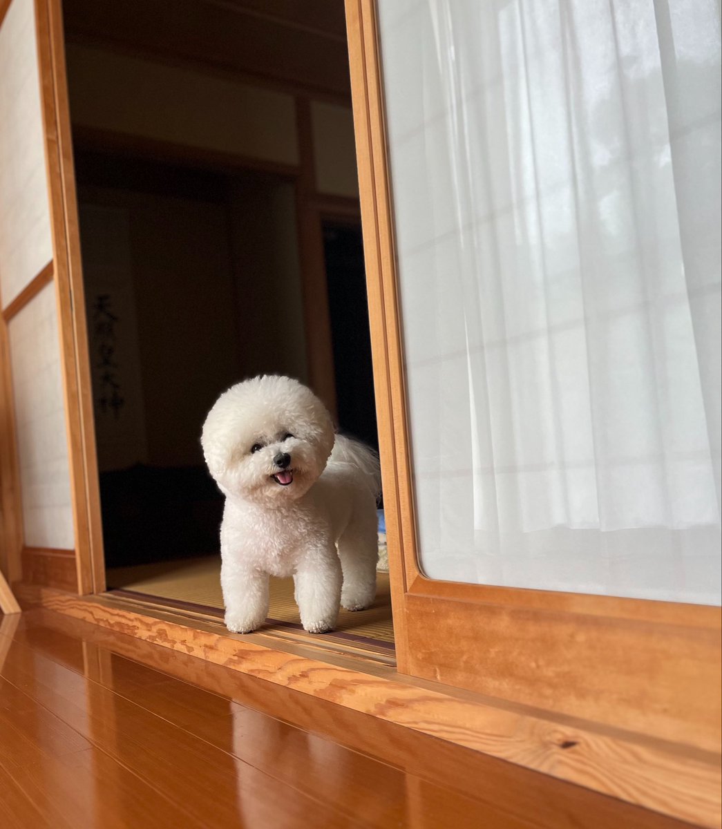 ☁️せとくん☁️(陰キャ) tweet media