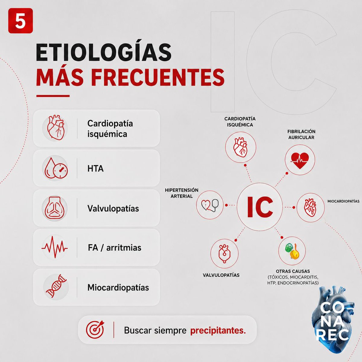 CONAREC tweet media