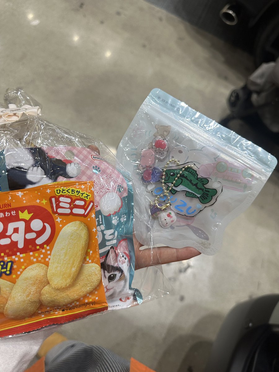 すず【釣り垢】 tweet media