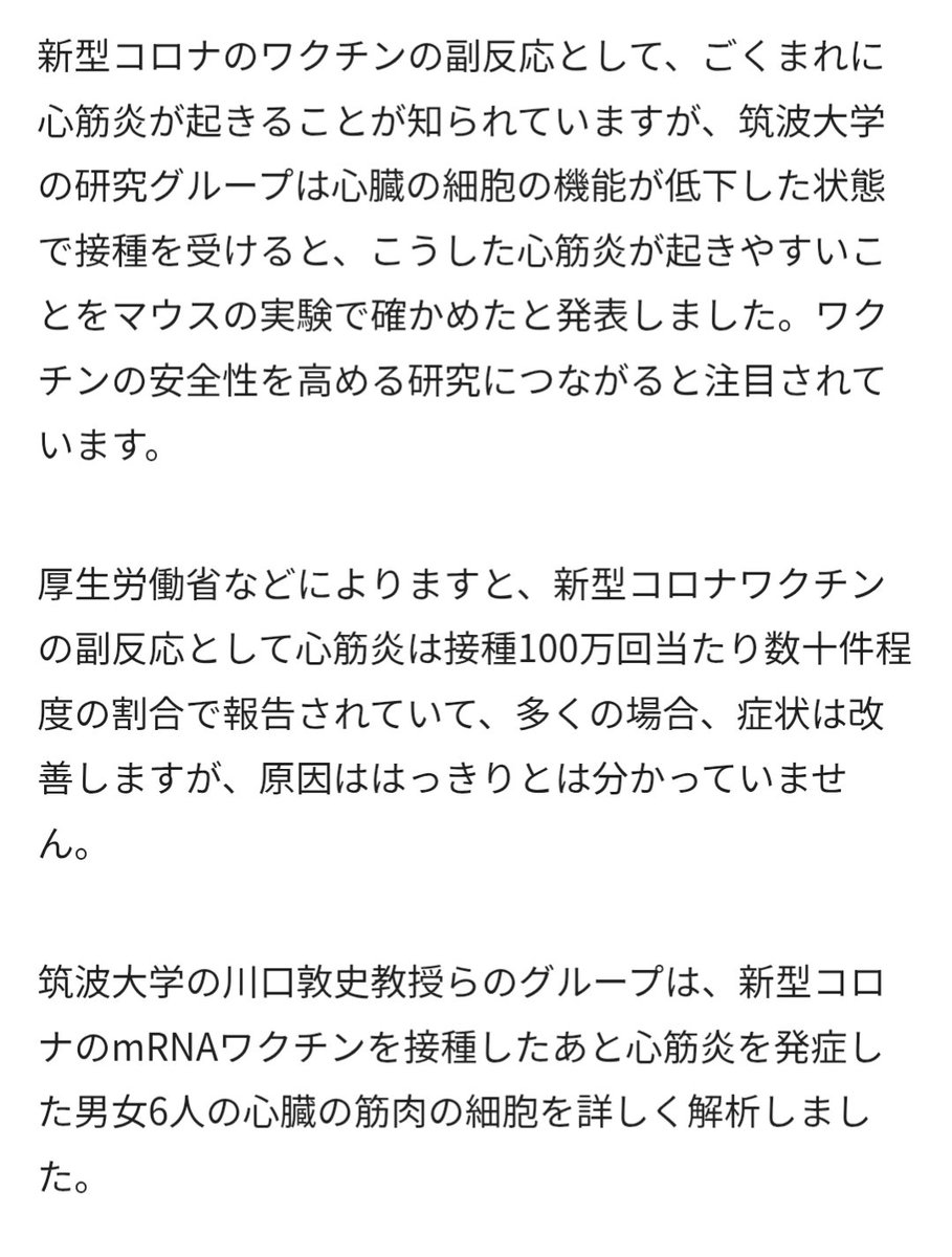 マスタードンキー 🟠最近阿呆気味 tweet media