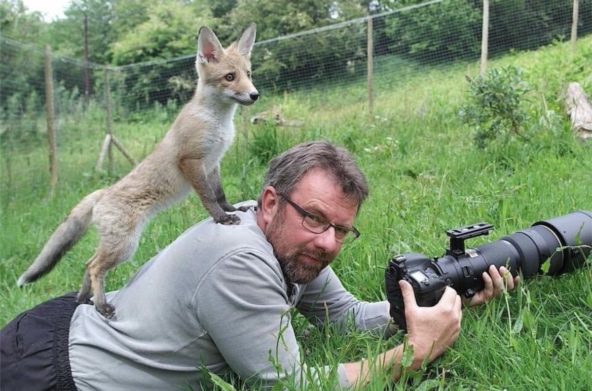Cat is life ~猫は人生~ tweet media