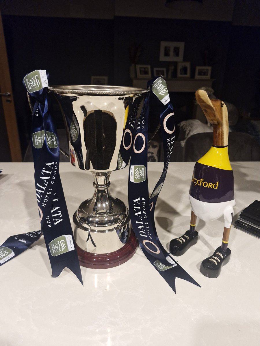 aoifeparle's tweet photo. Our U20 Leinster B Football Champions take on Down in the All Ireland B Semi Final next week.

The Andrew Cordon Cup looks lovely on my island with my 'Lucky Duck'. 

Wouldn't it be lovely to add an All Ireland Cup to that. Althought I might not get that for a sleepover 😂

💜💛 https://t.co/AAelsBwqva