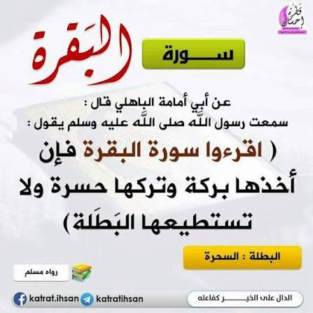 فيروز tweet media
