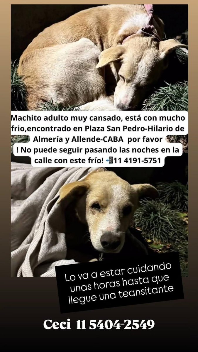 Rt
Urgente