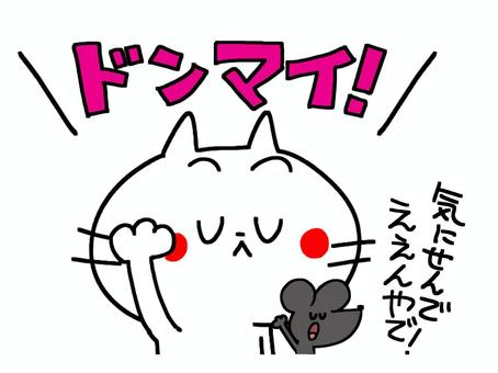 きむちゃん💎🐰💖 tweet media