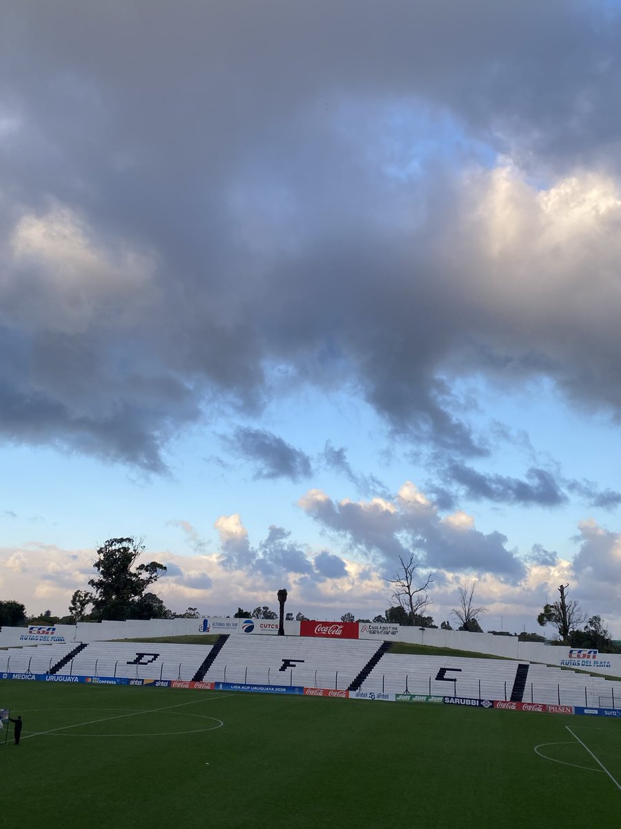 Micaela Rodriguez tweet media