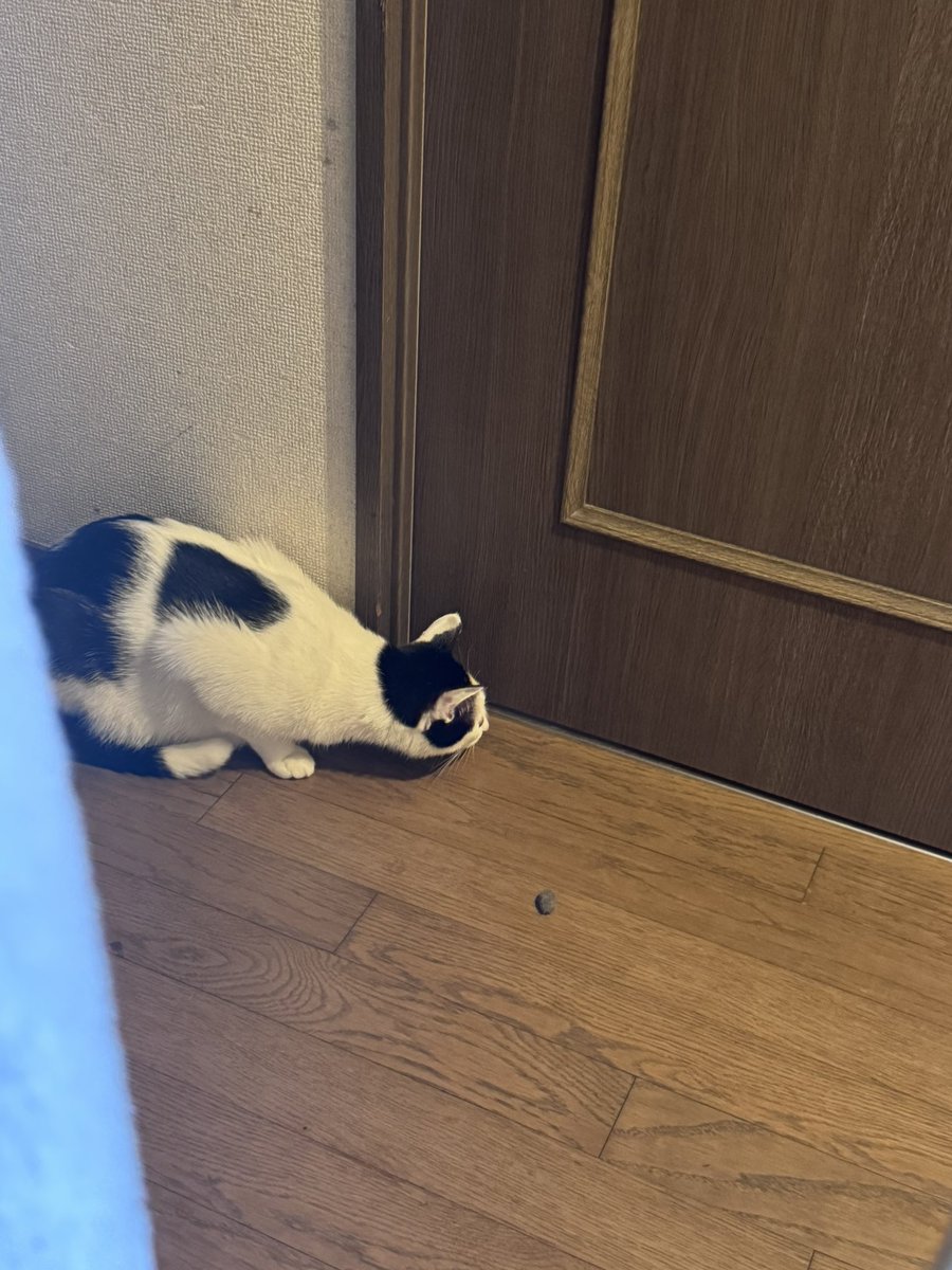 09elu's tweet photo. 兄が泊まってる部屋が気になってしょうがないえる https://t.co/SJGeoMLhsP