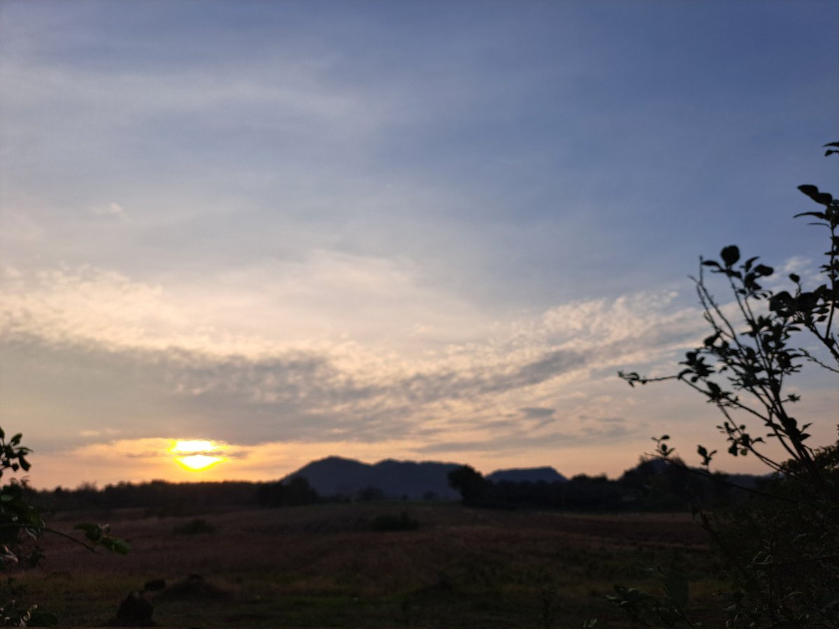 Supot Waewjapo tweet media