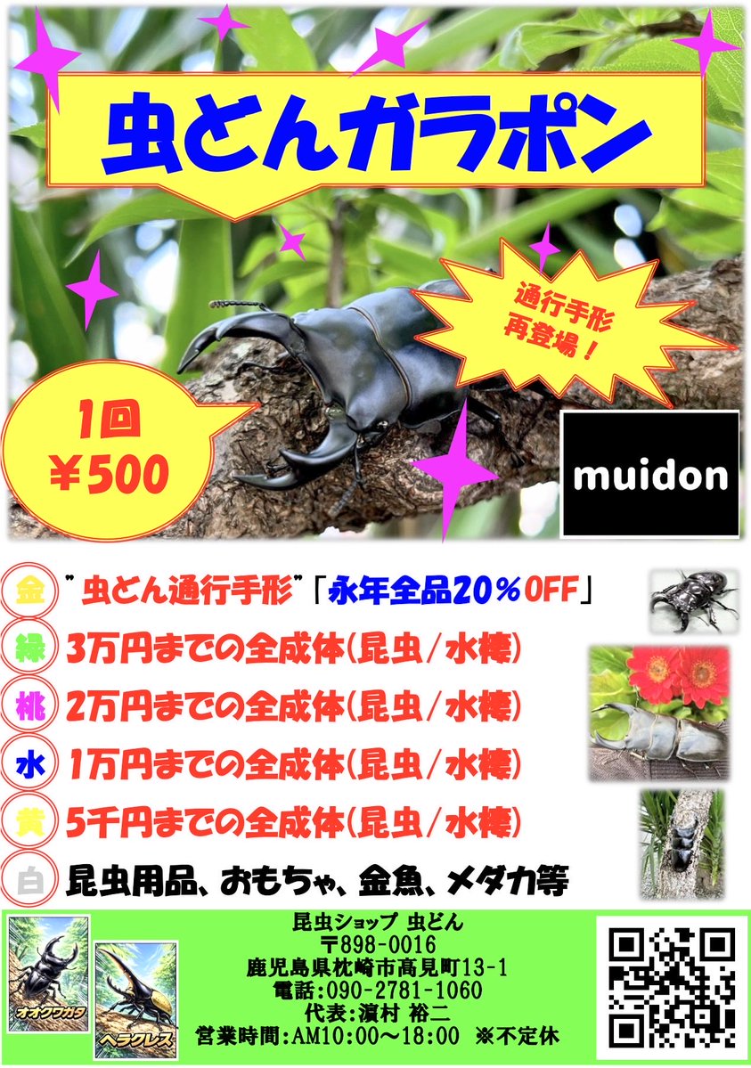 昆虫ショップ　虫どん［むいどん］ tweet media