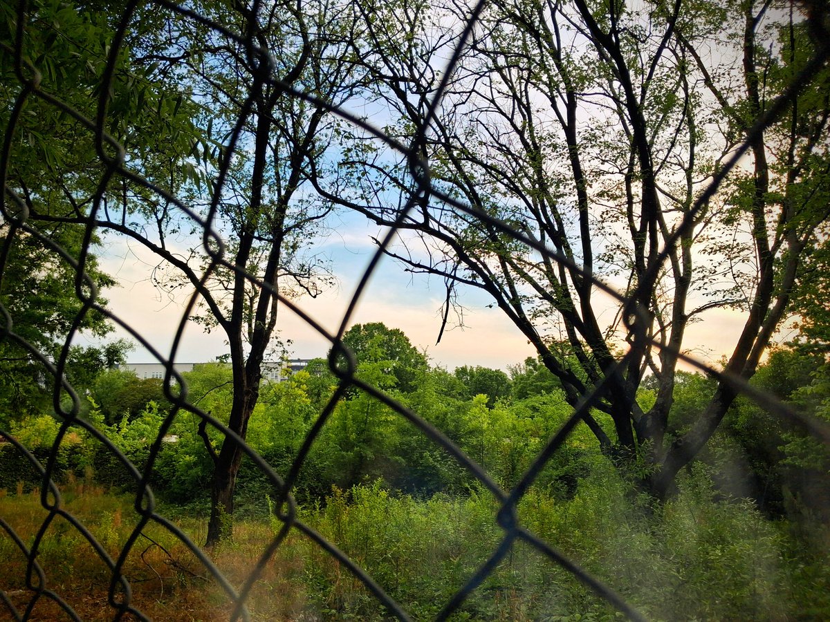 opnlvart's tweet photo. "Safari"
.
.
.
#images #image #art #opnlv https://t.co/bSO1y3ZAC4