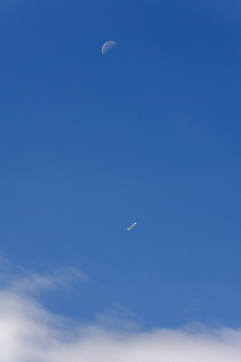 vmfa242's tweet photo. #イマソラ NH53 HND-CTS https://t.co/7KshrRpj3B