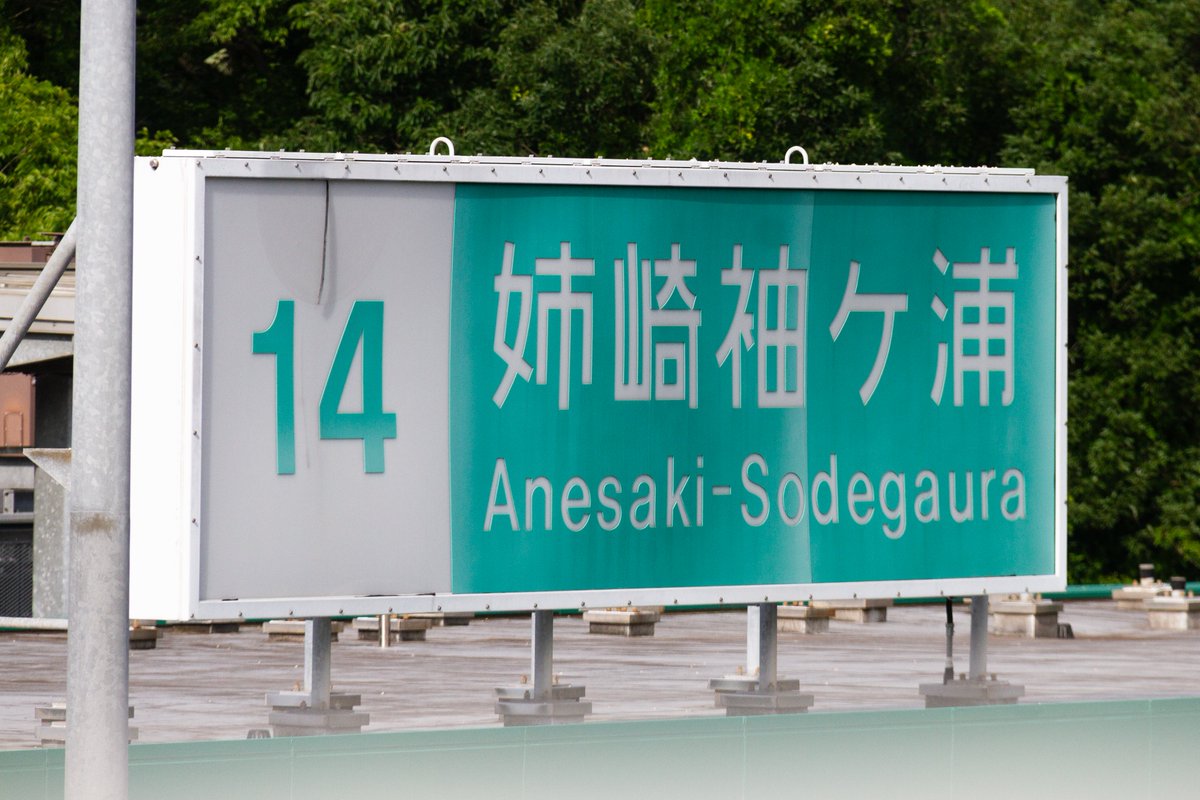 島田 六合 tweet media