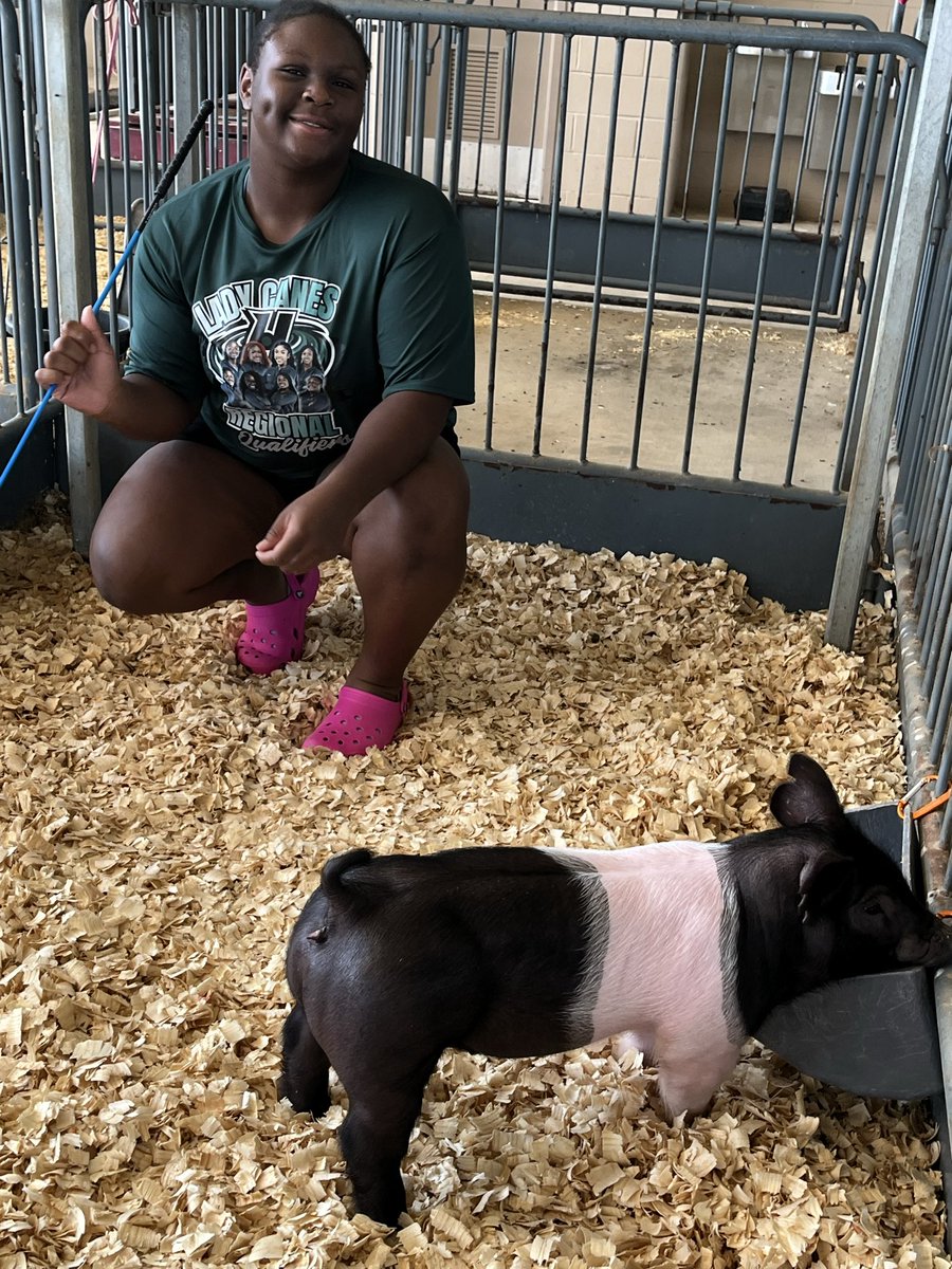 Hightower FFA tweet media