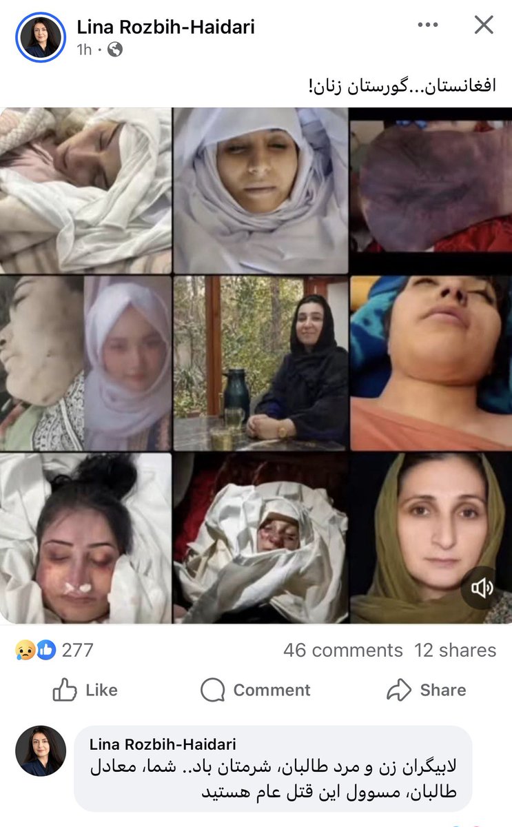 Samira Bayani tweet media