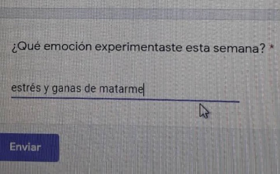 Xd