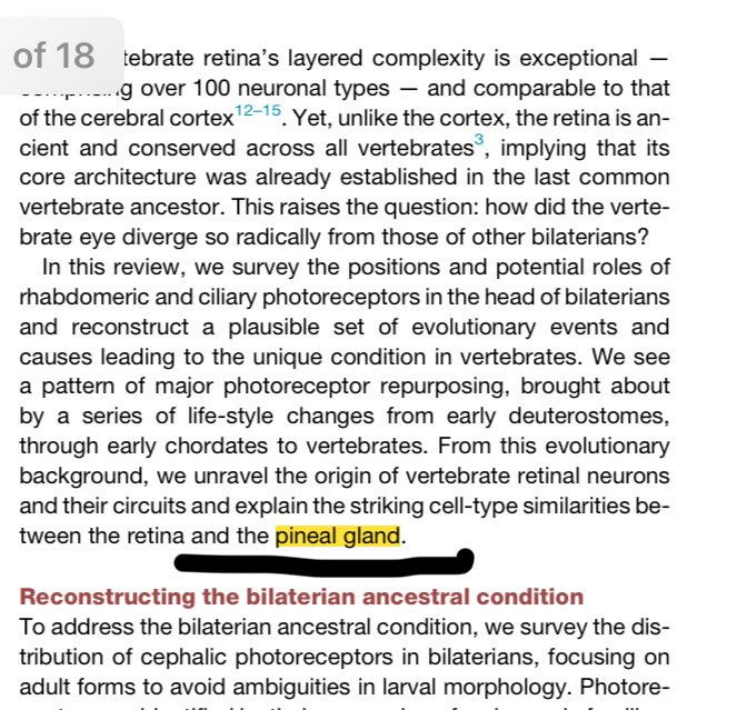 Gnostic Informant | Neal Sendlak tweet media