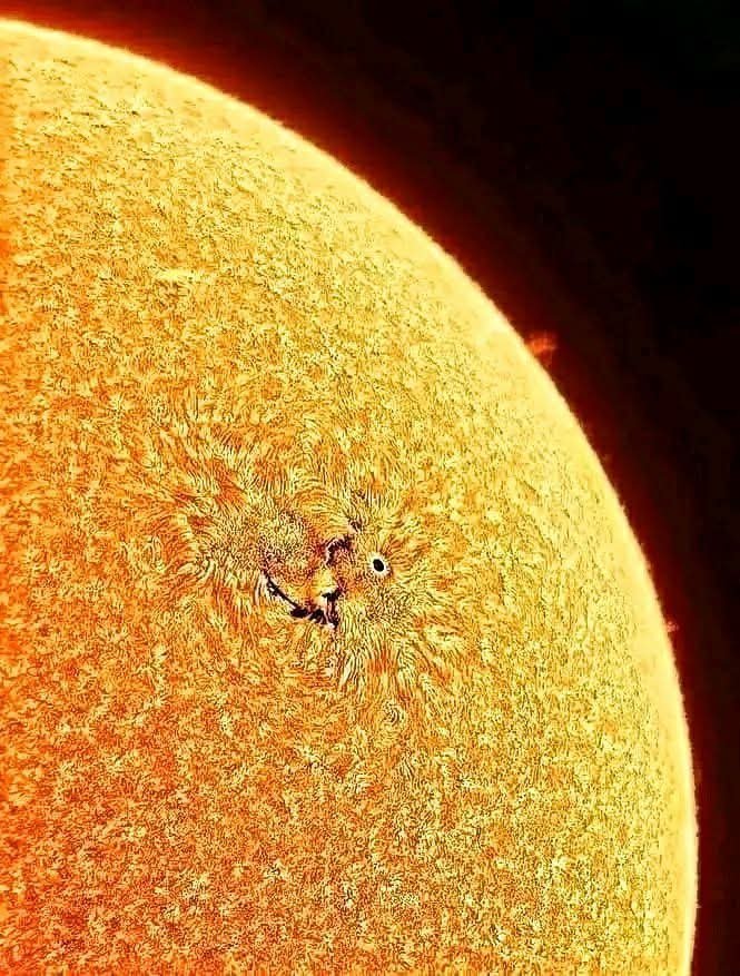 konstructivizm's tweet photo. Mind blowing close up image of our Sun.!
NASA https://t.co/8LDtlZ6RaS