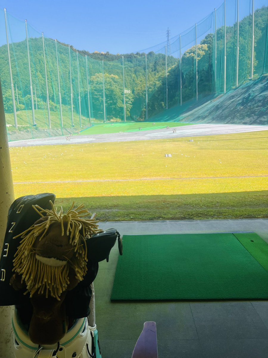 shin1kawada1's tweet photo. 皆さんおはようございます🍊
今朝は⛳️朝練から🚗³₃
#Eightseven https://t.co/SrzJhKx4Uh