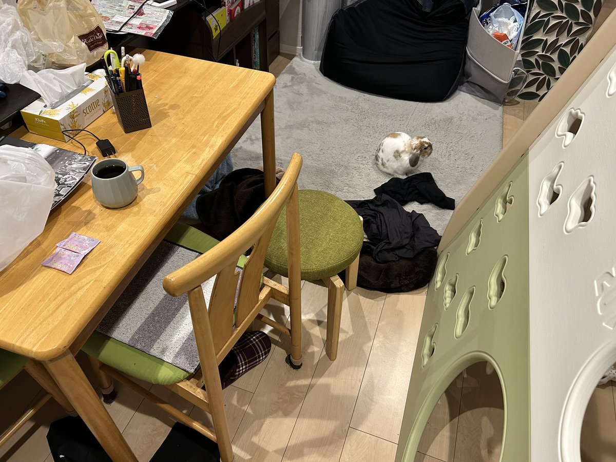 tr_ufo's tweet photo. 妻子がおでかけしてるうちに天下一お掃除大会を開催する！

今日中に終わるかな｡ﾟ(ﾟ´Д｀ﾟ)ﾟ｡ https://t.co/K7hf1GyzQj