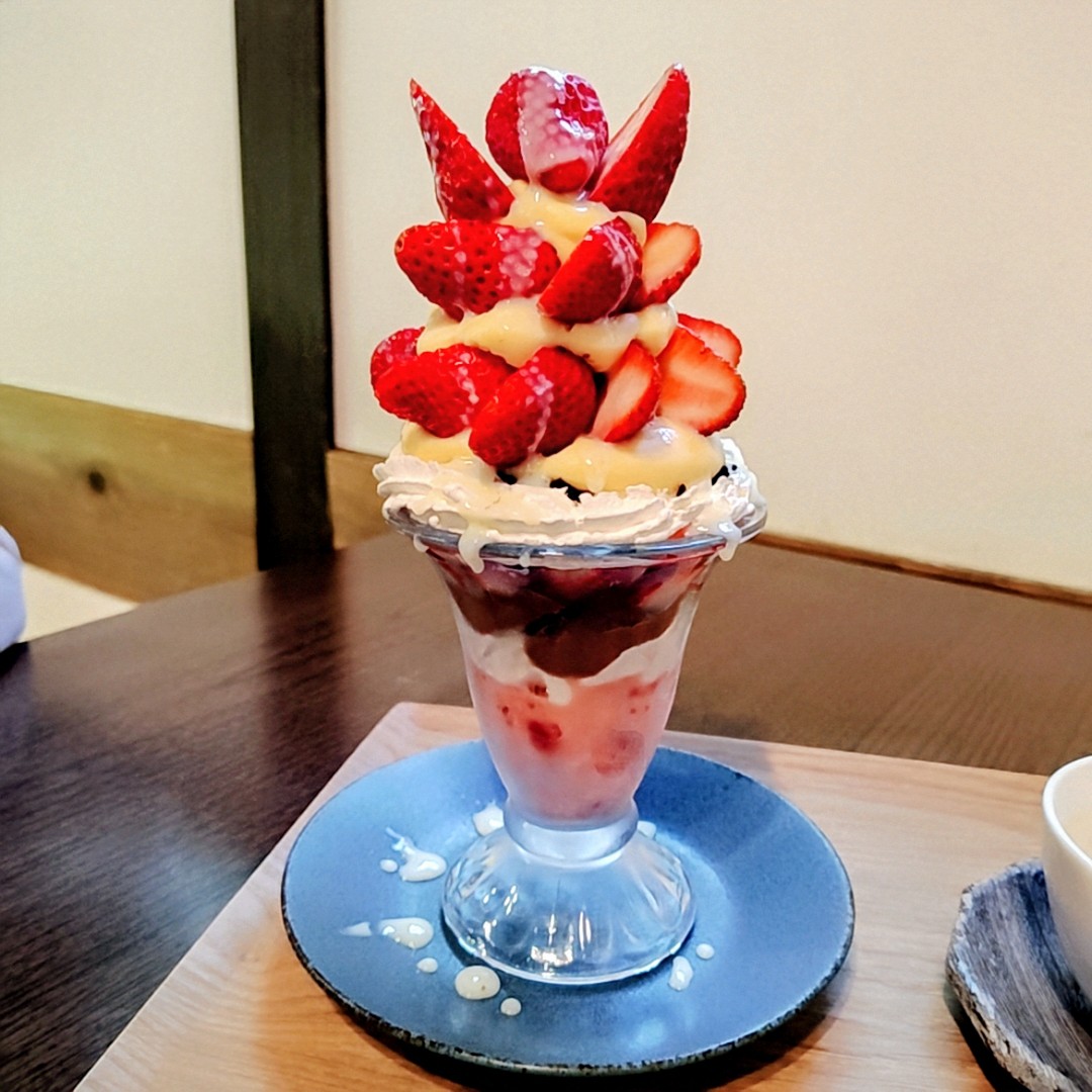 茉由花 tweet media